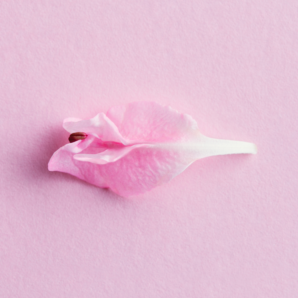 A pink leaf that looks like a vagina.